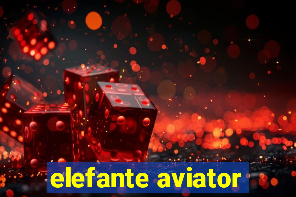 elefante aviator