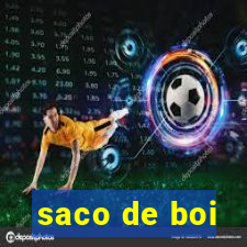 saco de boi