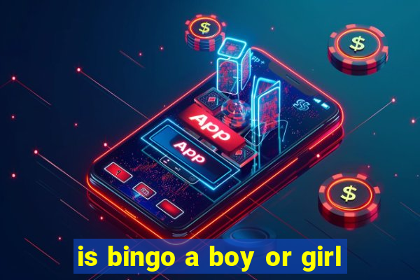 is bingo a boy or girl