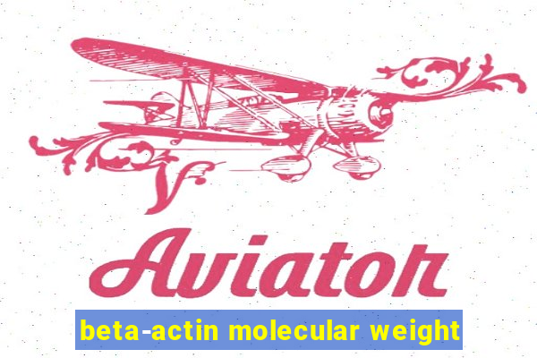 beta-actin molecular weight