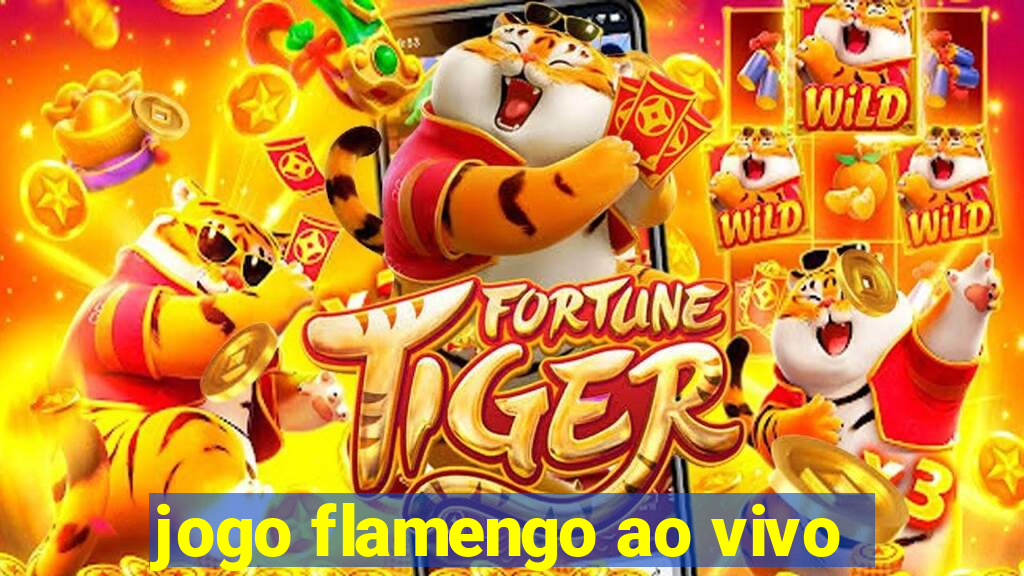 jogo flamengo ao vivo