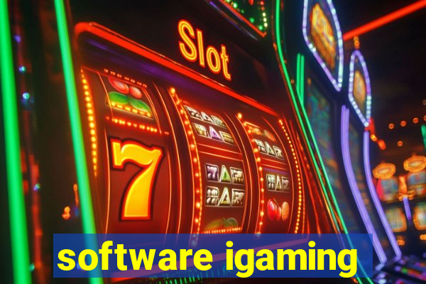 software igaming