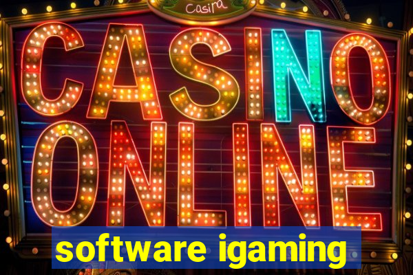 software igaming