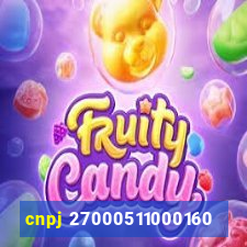 cnpj 27000511000160