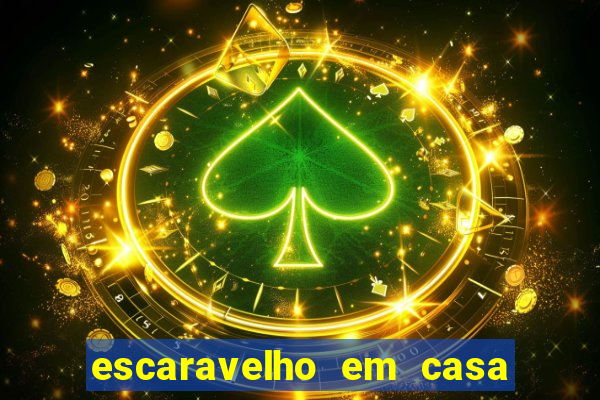 escaravelho em casa significado espiritual