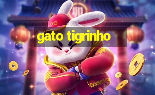 gato tigrinho