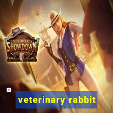 veterinary rabbit