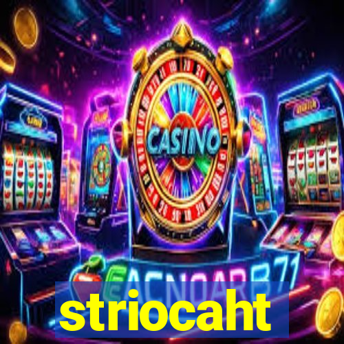 striocaht