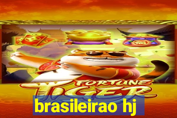 brasileirao hj