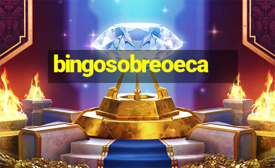 bingosobreoeca