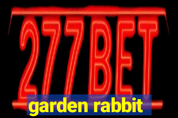 garden rabbit