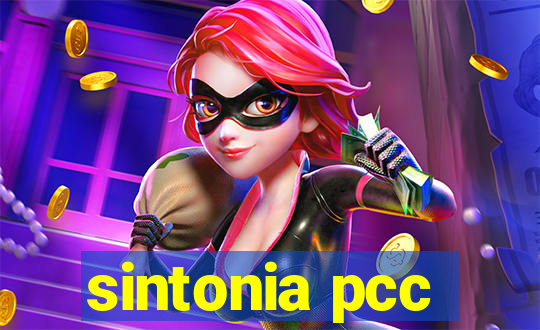 sintonia pcc