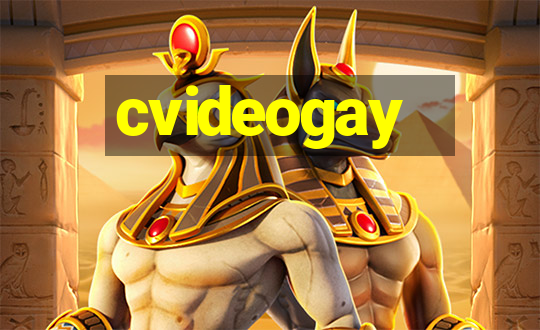 cvideogay