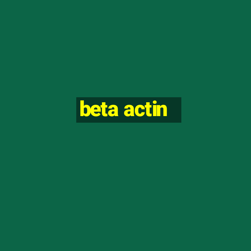 beta actin