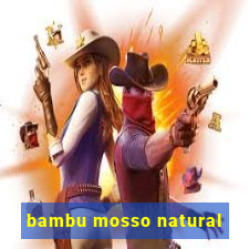 bambu mosso natural