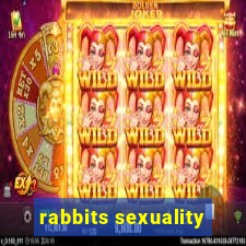 rabbits sexuality