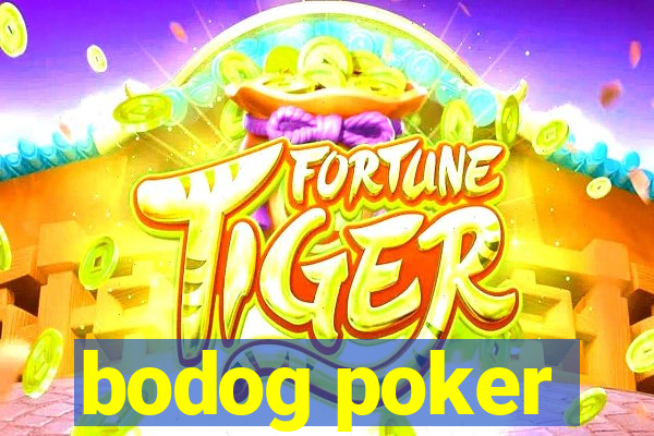 bodog poker