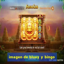 imagen de bluey y bingo