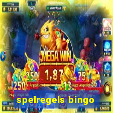 spelregels bingo