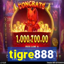 tigre888