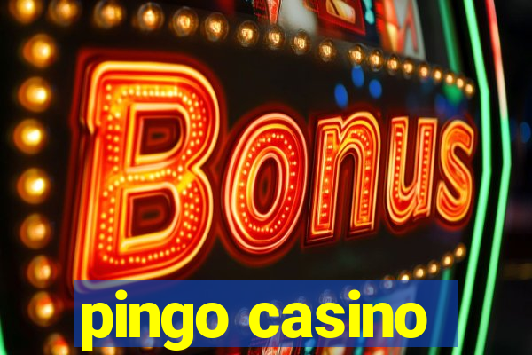 pingo casino