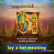 lay a bet meaning