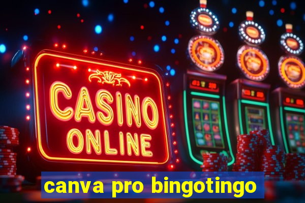 canva pro bingotingo