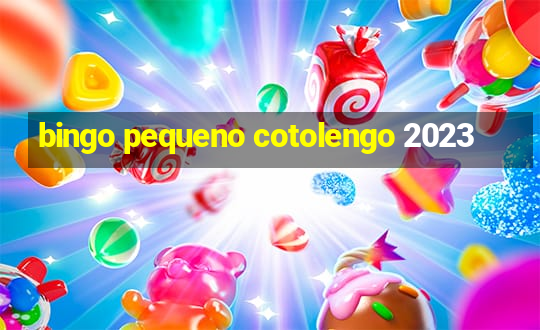 bingo pequeno cotolengo 2023