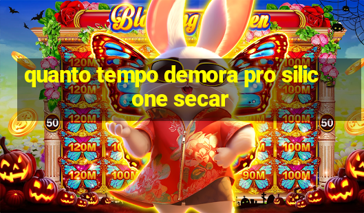 quanto tempo demora pro silicone secar