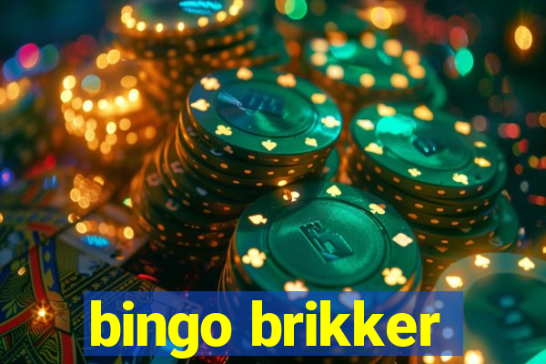 bingo brikker