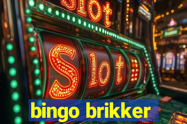 bingo brikker