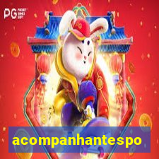 acompanhantesportovelho