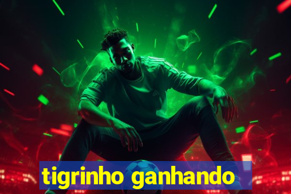 tigrinho ganhando