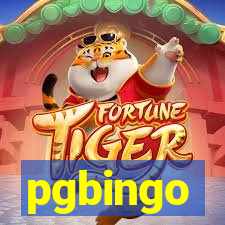 pgbingo