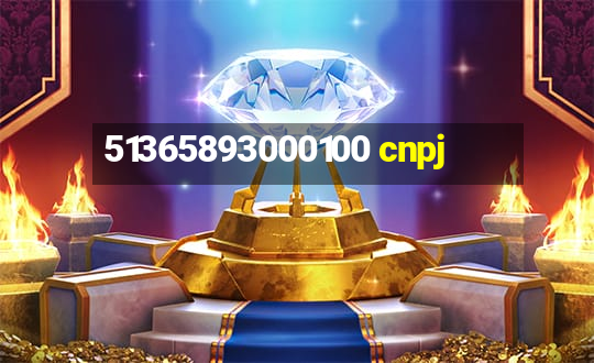 51365893000100 cnpj