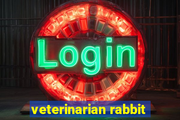 veterinarian rabbit