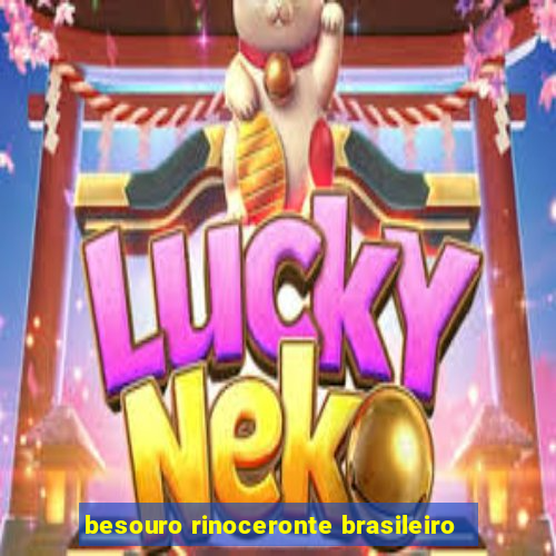 besouro rinoceronte brasileiro