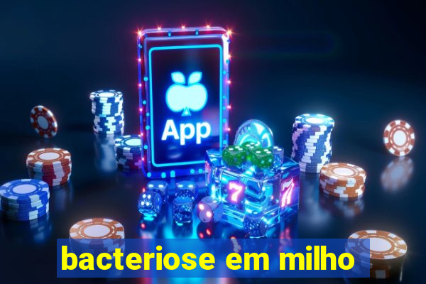 bacteriose em milho