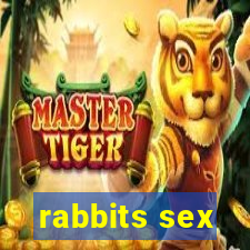 rabbits sex