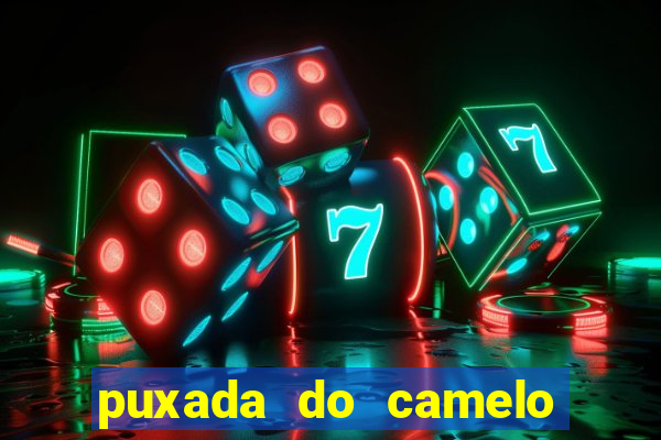 puxada do camelo no jogo do bicho