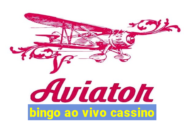 bingo ao vivo cassino