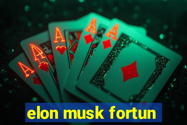 elon musk fortun