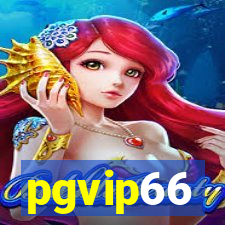 pgvip66