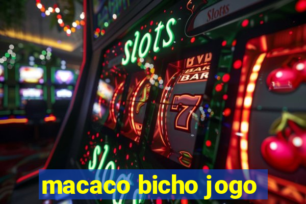 macaco bicho jogo