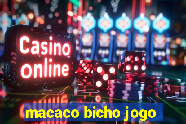 macaco bicho jogo