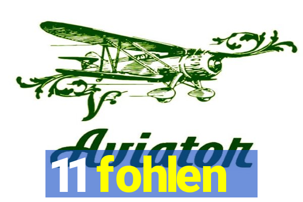 11 fohlen