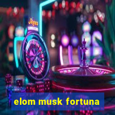 elom musk fortuna