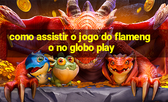 como assistir o jogo do flamengo no globo play