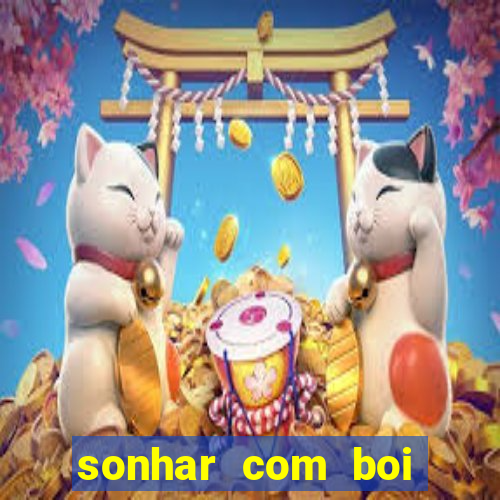 sonhar com boi jogo do bicho