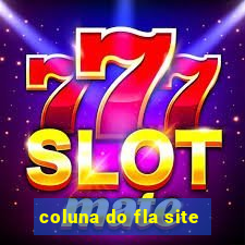 coluna do fla site